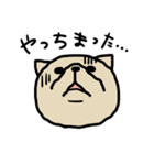 下から見た猫（個別スタンプ：16）