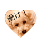 くるりの気持ち（個別スタンプ：1）
