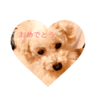 くるりの気持ち（個別スタンプ：2）