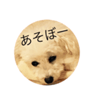 くるりの気持ち（個別スタンプ：3）