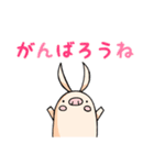 PIGGY STICKER 1（個別スタンプ：34）