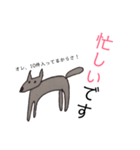 ファーストペンギンとグレートデン（個別スタンプ：8）
