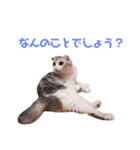 おうちのまるちゃん（個別スタンプ：2）