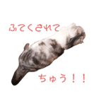 おうちのまるちゃん（個別スタンプ：3）