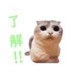 おうちのまるちゃん（個別スタンプ：11）