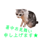 おうちのまるちゃん（個別スタンプ：16）