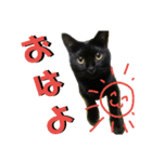 くろうにはなのスタンプ（個別スタンプ：1）