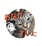 くろうにはなのスタンプ（個別スタンプ：5）