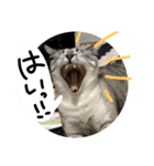くろうにはなのスタンプ（個別スタンプ：10）
