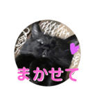 くろうにはなのスタンプ（個別スタンプ：14）