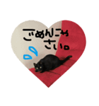 ちゃんただよ。（個別スタンプ：13）