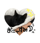 ちゃんただよ。（個別スタンプ：16）