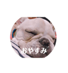 リベルテ訪問介護事業所ニコちゃん（個別スタンプ：2）