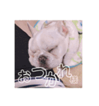 リベルテ訪問介護事業所ニコちゃん（個別スタンプ：5）