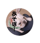 リベルテ訪問介護事業所ニコちゃん（個別スタンプ：8）