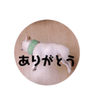 リベルテ訪問介護事業所ニコちゃん（個別スタンプ：10）