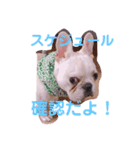 リベルテ訪問介護事業所ニコちゃん（個別スタンプ：12）
