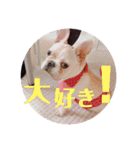 リベルテ訪問介護事業所ニコちゃん（個別スタンプ：15）