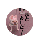 リベルテ訪問介護事業所ニコちゃん（個別スタンプ：16）