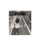 なのまる3さい（個別スタンプ：1）