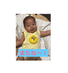 ひなたん すたんぷ（個別スタンプ：2）