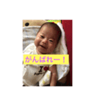ひなたん すたんぷ（個別スタンプ：3）