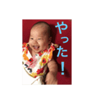 ひなたん すたんぷ（個別スタンプ：7）
