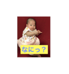 ひなたん すたんぷ（個別スタンプ：12）