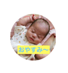 ひなたん すたんぷ（個別スタンプ：13）