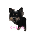 むさし＆くー（個別スタンプ：6）