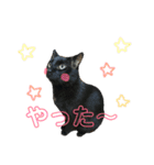 ゆずぽんの日常スタンプ（個別スタンプ：5）