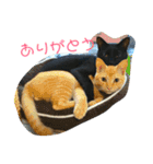 ゆずぽんの日常スタンプ（個別スタンプ：7）