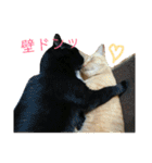 ゆずぽんの日常スタンプ（個別スタンプ：24）