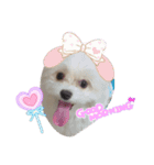 まろろん（個別スタンプ：1）