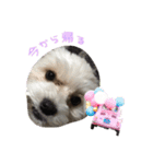 まろろん（個別スタンプ：6）
