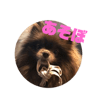 マーフだよ（個別スタンプ：7）