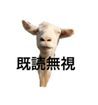 動物スタンプ其の一（個別スタンプ：4）