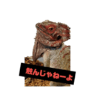 ドラさん 日常編（個別スタンプ：1）