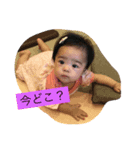 わかにゃスタンプ（個別スタンプ：1）
