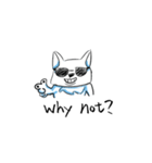 中二 の犬（個別スタンプ：12）
