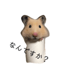 ハムスター ワールド（個別スタンプ：3）