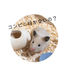 ハムスター ワールド（個別スタンプ：7）