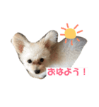3代目QUEEN2（個別スタンプ：1）