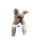 3代目QUEEN2（個別スタンプ：8）