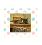 アスラン（個別スタンプ：4）