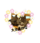 アスラン（個別スタンプ：6）
