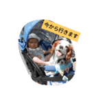 くまの日常②（個別スタンプ：1）