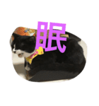あおとあんず。猫。漢字。（個別スタンプ：2）