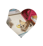 0421choco（個別スタンプ：6）