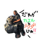 としやった1（個別スタンプ：2）